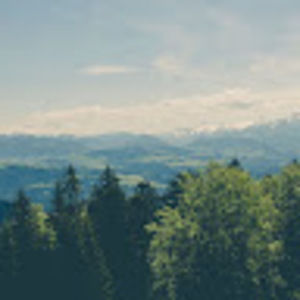 Meet your Posher, Madi